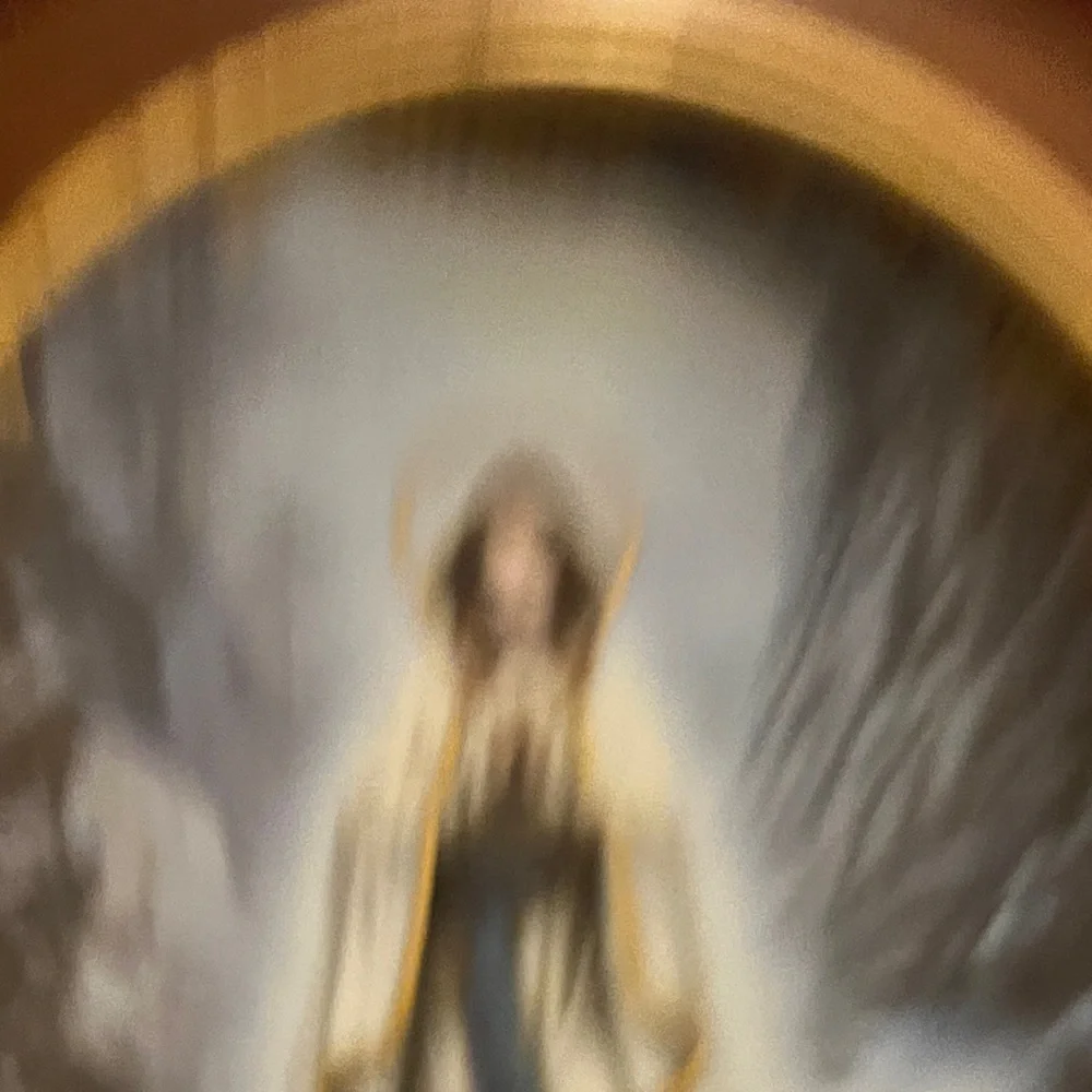 The Bradford Exchange Our Lady of Lourdes  Wall Art with Gold and Brown Frame - Picture 14 of 14